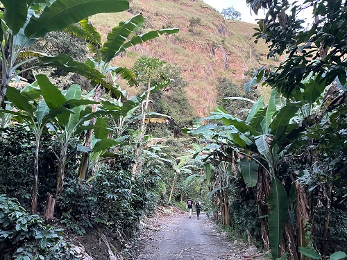 Jungle tour, Peru