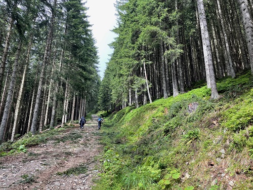 Praebichl hiking - Austria